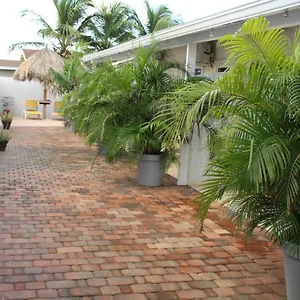  Aparthotel Dancing Iguanas Aruba